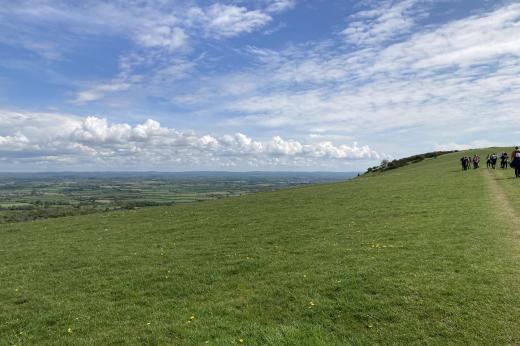 View of South Downs 