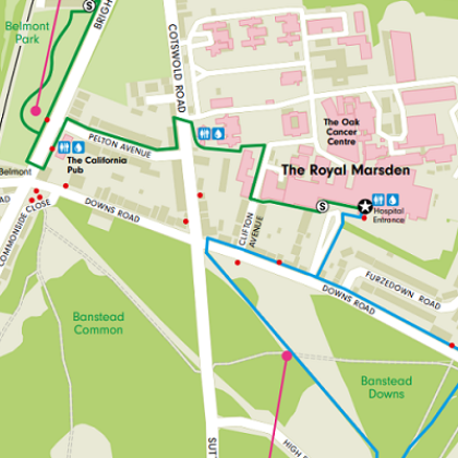 A drawn map of The Royal Marsden Sutton site, there are blue and green routes mapped out where people can walk across nearby Belmont park or Banstead Downs.