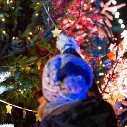 A person in a woollen bobble hat holding a star decoration on a Christmas tree. 